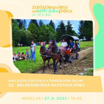 Belokranjska razstava konj